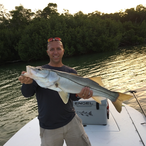 Flamingo Snook